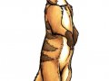 Ranek.jpg